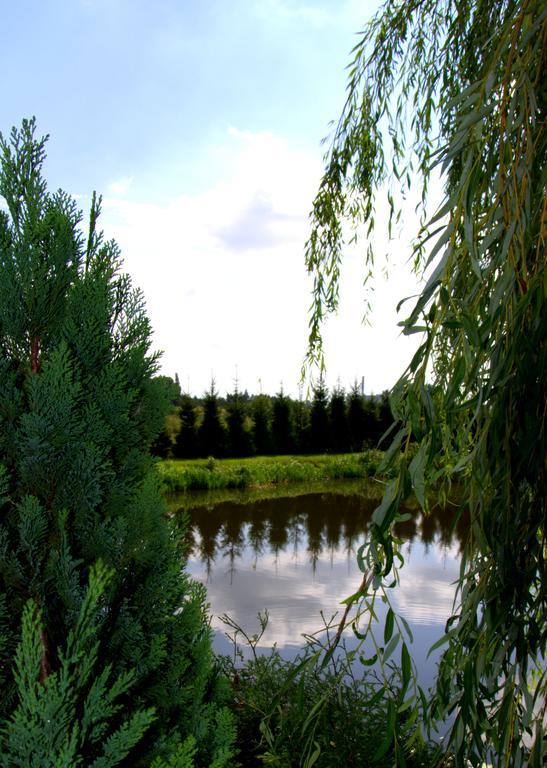 Marco 2* Płońsk